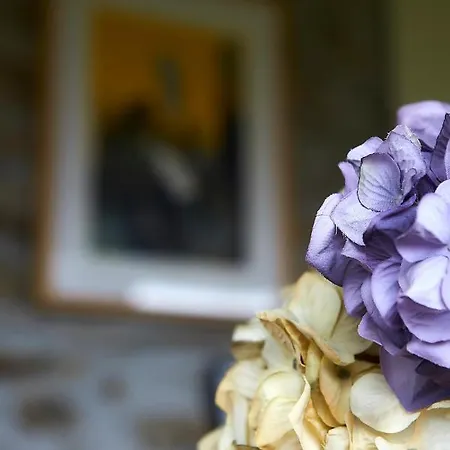 La Era De Somao Somado