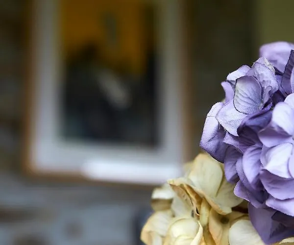 La Era De Somao Somado