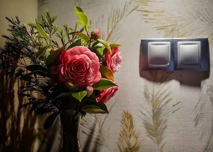 La Era De Somao * Somado