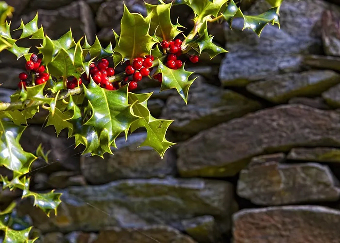 La Era De Somao Сasa de vacaciones